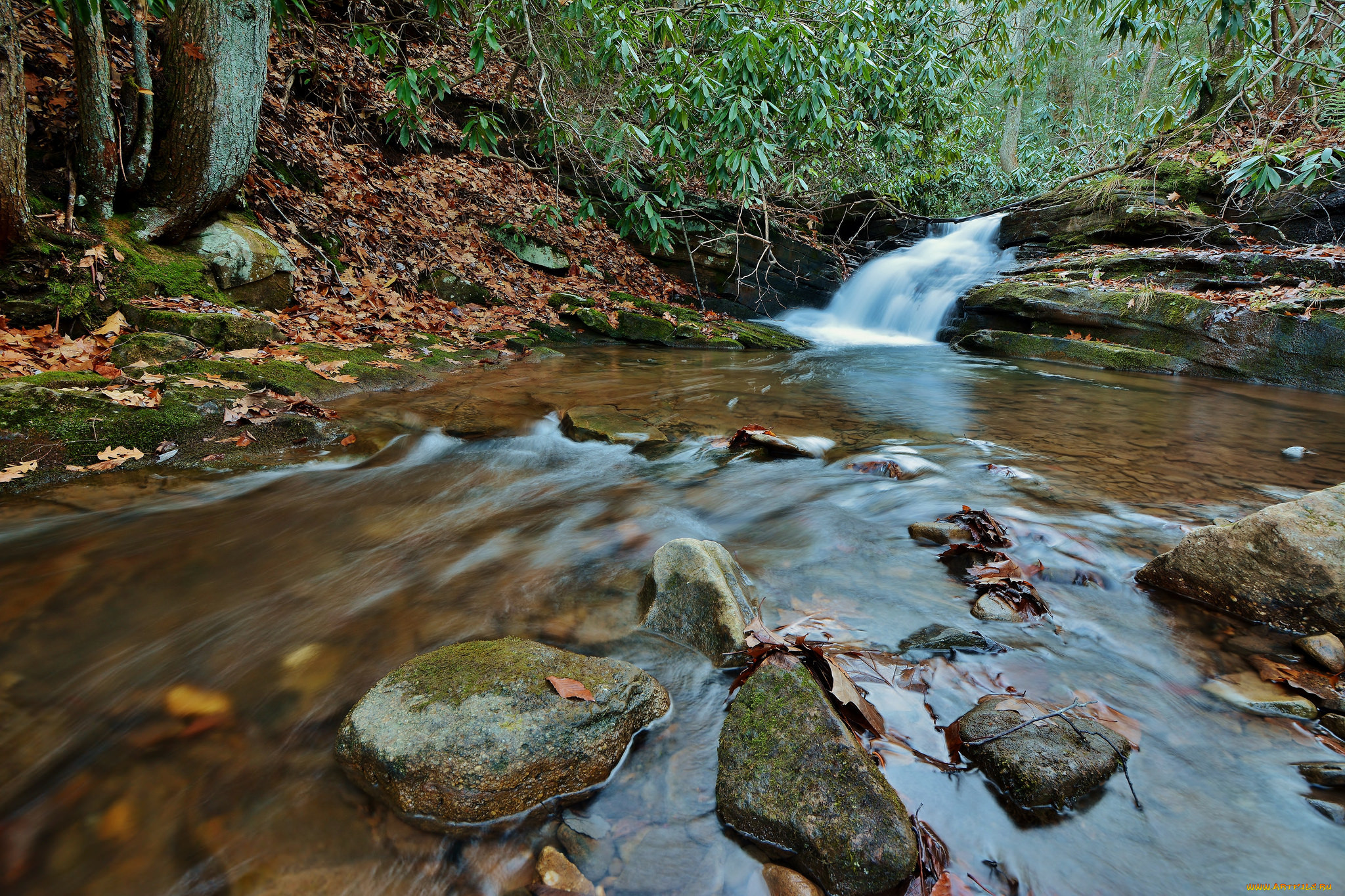 , , autumn, waterfall, , , , , leaves, water, stream, 